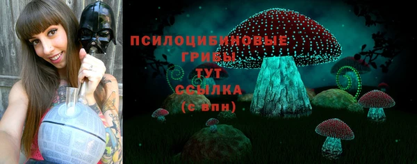первитин Лиски