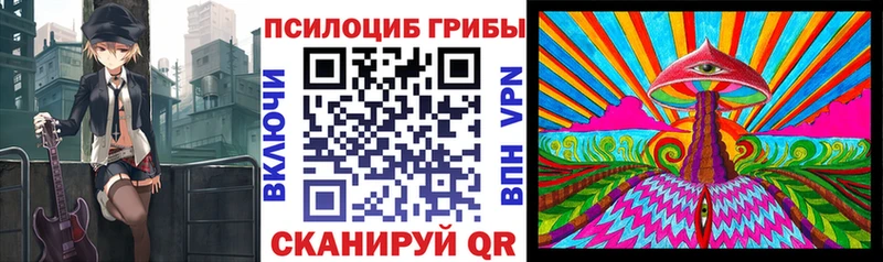 Галлюциногенные грибы Cubensis  Купить закладки  Салехард 